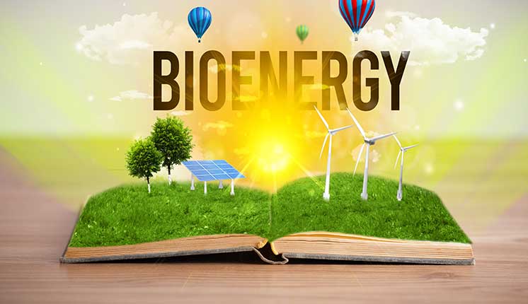 open book on table with trees, solar panels, and windmills sprouting from grass on open pages, hot air balloons hovering above the word BioEnergy