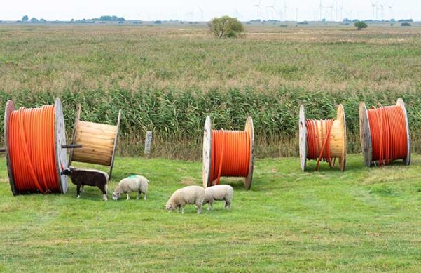 broadband cable drums on green grass with sheep in front of an agricultural field