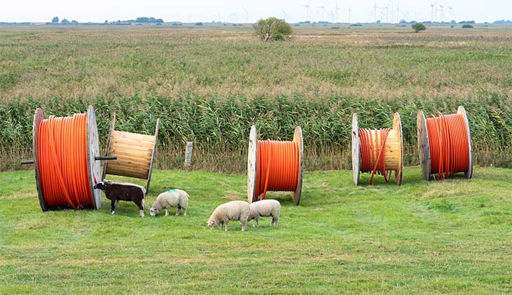 broadband cable drums on green grass with sheep in front of an agricultural field