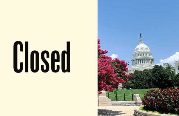 blossoming tree, green grass, with U.S. Capitol in the background