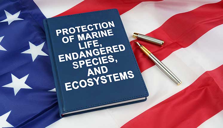 blue book next to a pen sitting on an American flag