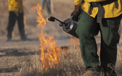 EPA Issues Policy Guidance to Help Prevent Catastrophic Wildfires, Promote Use of Prescribed Fires for Mitigation Efforts