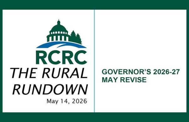 Green background set behind screenshot of report cover