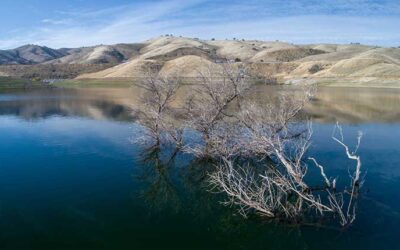 DOI Issues Order to Streamline Reclamation Construction Projects