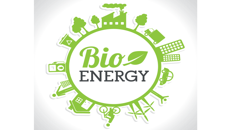 green circle with variety of images on the outer rim representing bio energy sources