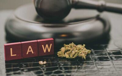 $125 Million Available to Support Illicit Cannabis Enforcement